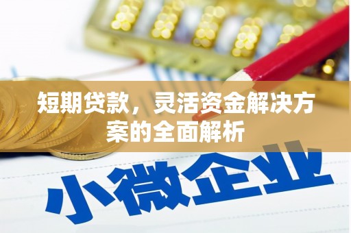 咸丰短期贷款，灵活资金解决方案的全面解析
