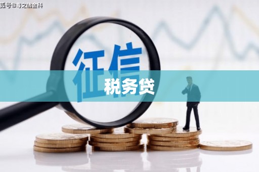 咸丰税务贷