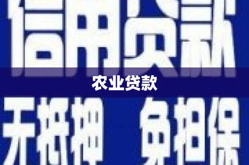 咸丰农业贷款