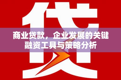 咸丰商业贷款，企业发展的关键融资工具与策略分析