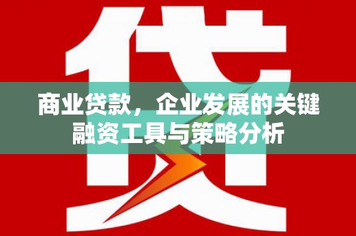 咸丰商业贷款，企业发展的关键融资工具与策略分析