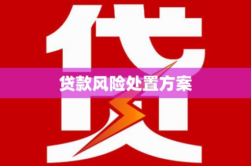咸丰贷款风险处置方案