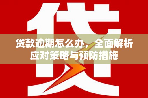 咸丰贷款逾期怎么办，全面解析应对策略与预防措施