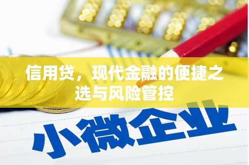 咸丰信用贷，现代金融的便捷之选与风险管控