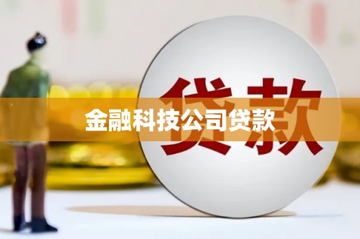 咸丰金融科技公司贷款