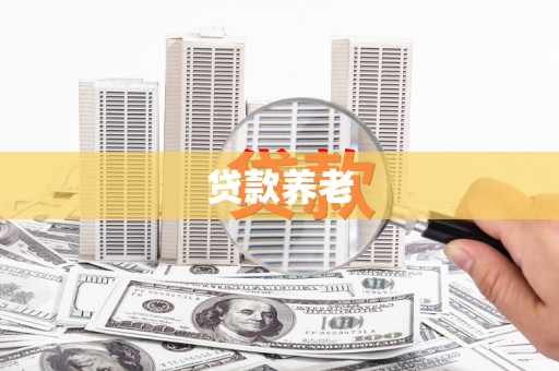 咸丰贷款养老