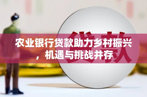 咸丰农业银行贷款助力乡村振兴，机遇与挑战并存