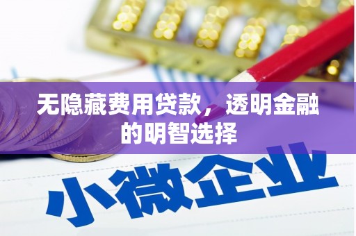 咸丰无隐藏费用贷款，透明金融的明智选择