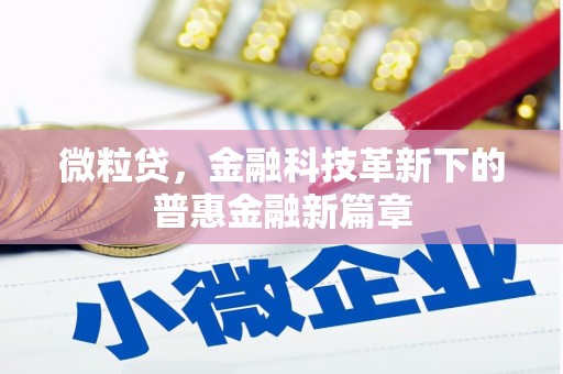 咸丰微粒贷，金融科技革新下的普惠金融新篇章