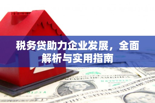 咸丰税务贷助力企业发展，全面解析与实用指南