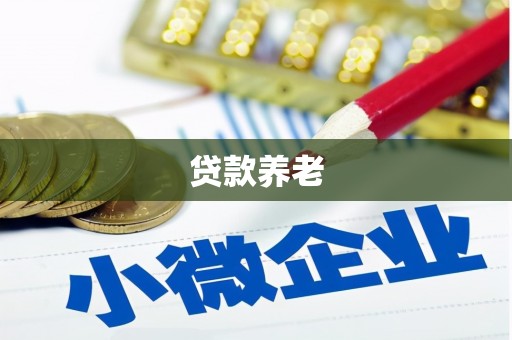 咸丰贷款养老