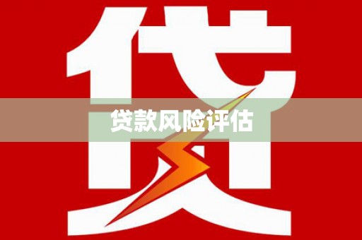 咸丰贷款风险评估
