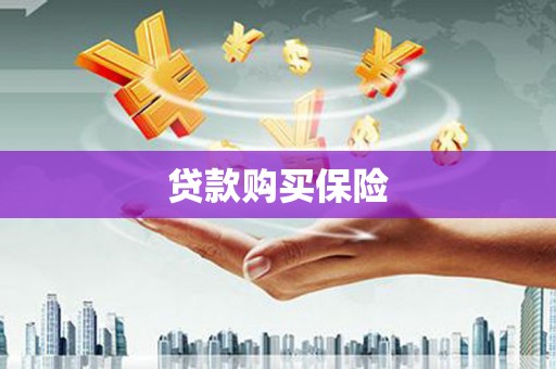咸丰贷款购买保险