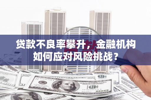 咸丰贷款不良率攀升，金融机构如何应对风险挑战？