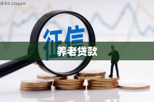 咸丰养老贷款