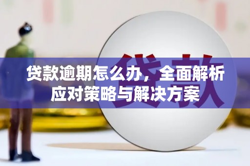 咸丰贷款逾期怎么办，全面解析应对策略与解决方案