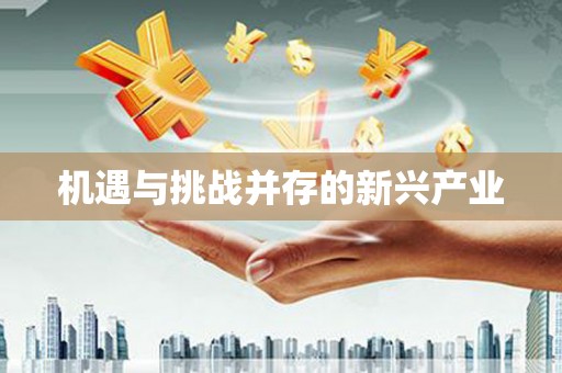 咸丰机遇与挑战并存的新兴产业