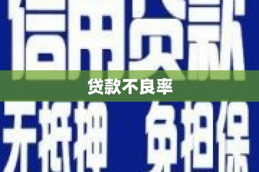 咸丰贷款不良率