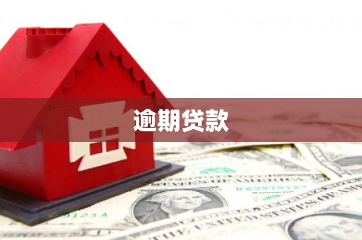 咸丰逾期贷款