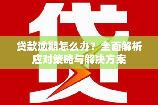 咸丰贷款逾期怎么办？全面解析应对策略与解决方案