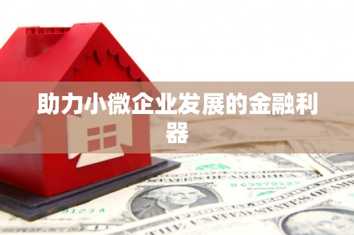 咸丰助力小微企业发展的金融利器