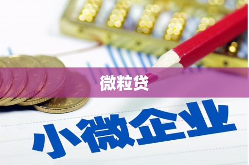 咸丰微粒贷