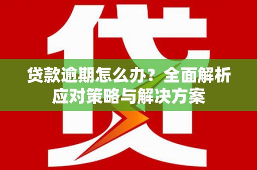 咸丰贷款逾期怎么办？全面解析应对策略与解决方案