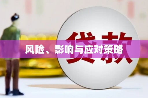 咸丰风险、影响与应对策略