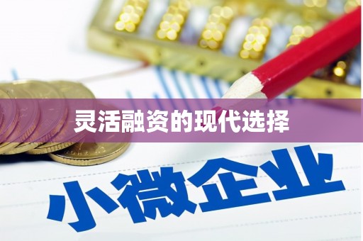 咸丰灵活融资的现代选择