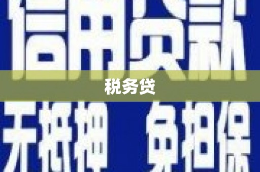 咸丰税务贷