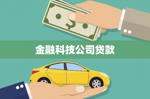 咸丰金融科技公司贷款