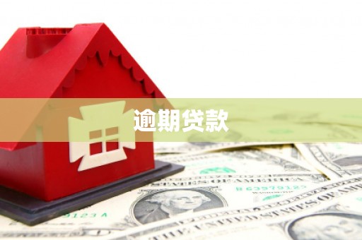 咸丰逾期贷款