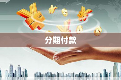 咸丰分期付款