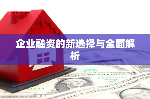 咸丰企业融资的新选择与全面解析