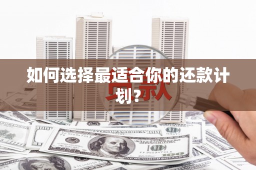 咸丰如何选择最适合你的还款计划？