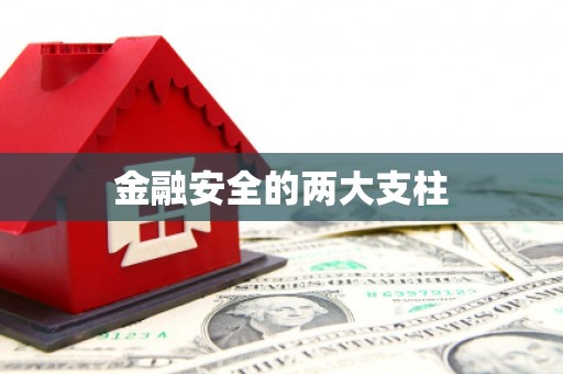 咸丰金融安全的两大支柱