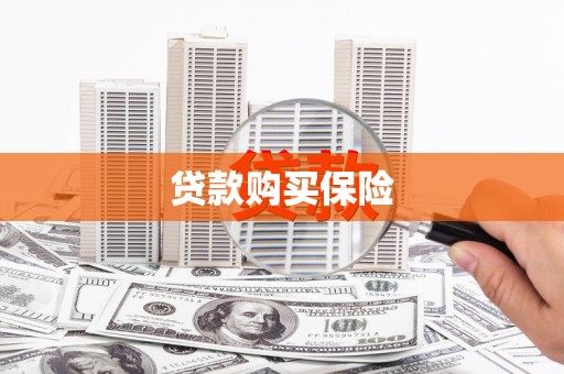 咸丰贷款购买保险