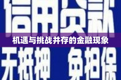 咸丰机遇与挑战并存的金融现象