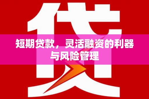 咸丰短期贷款，灵活融资的利器与风险管理