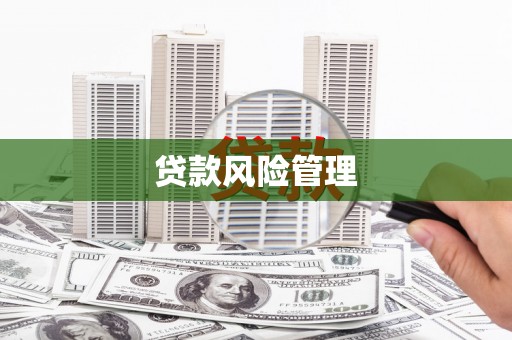 咸丰贷款风险管理