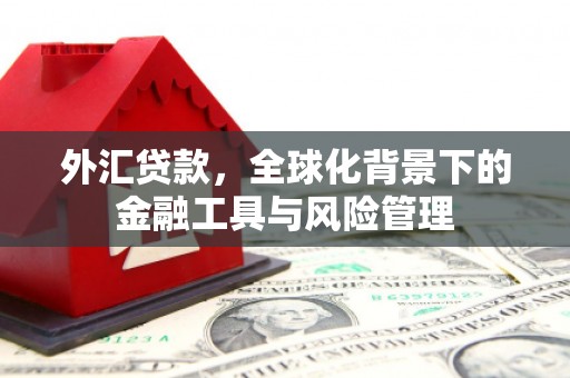 咸丰外汇贷款，全球化背景下的金融工具与风险管理