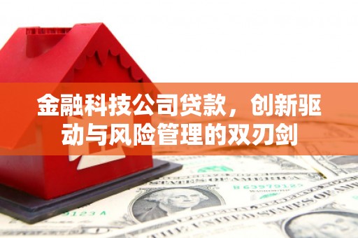 咸丰金融科技公司贷款，创新驱动与风险管理的双刃剑