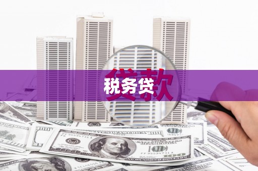 咸丰税务贷